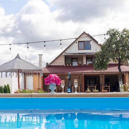 Hotel Vila Crisalia Sibiel -Sibiu (Adults Only) Exterior foto